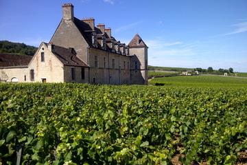 Clos de Vougeot