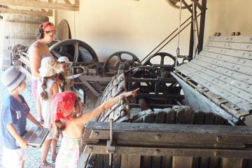 Le Musee du Vignoble Nantais (Vineyard Museum)