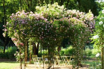 Les Chemins de la Rose