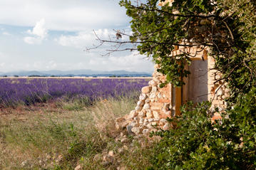 Manosque