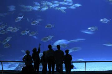 Paris Aquarium (Aquarium de Paris)