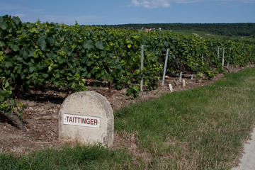 Taittinger