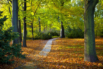 Tiergarten Park