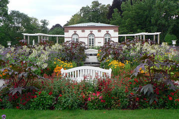 Palm Garden (Palmengarten)