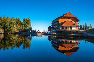 Kurfurstliches Palais (Electoral Palace)