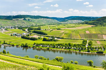 Moselle River