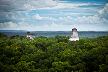 Maya Biosphere Reserve