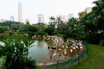 Kowloon Park