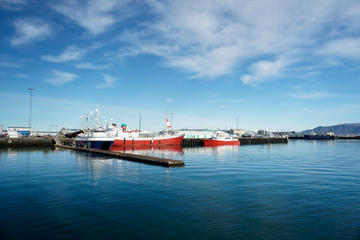 Reykjavik Cruise Port