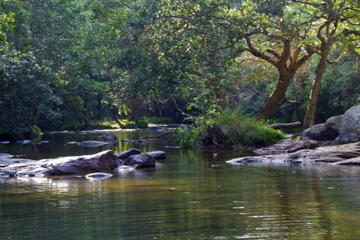 Kaveri River