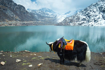 Gangtok