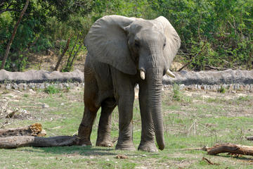 National Zoological Park of Delhi