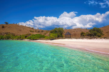 Pink Beach (Pantai Merah)