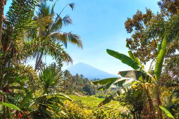 Mt Batukaru