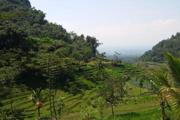 Selogriyo Temple