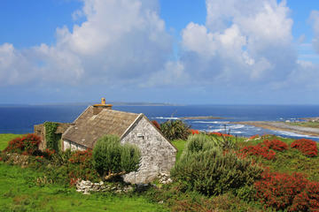 Doolin