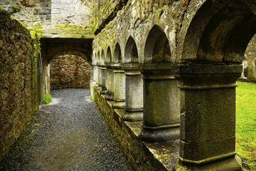 Ross Errilly Friary (Ross Abbey)