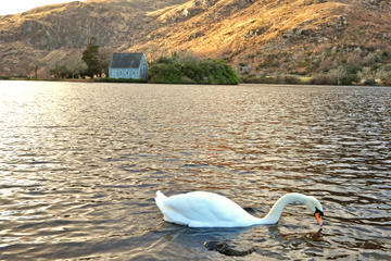 Gougane Barra