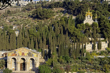 Mount of Olives