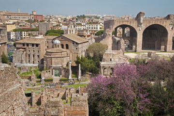 Palatine Hill