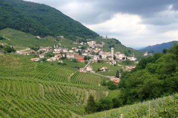 Prosecco Hills