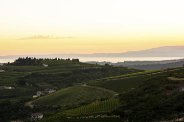 Valpolicella