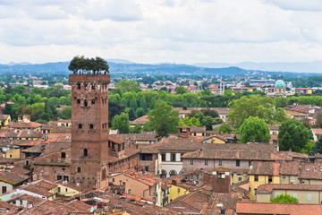 Guinigi Tower