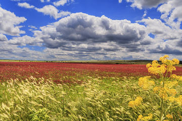 Murgia National Park (Parco della Murgia Materana)