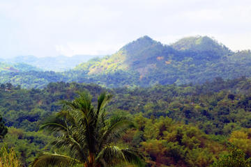 Blue Mountains