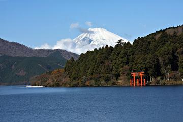 Lake Ashi