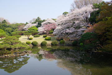 Shinjuku Gyoen National Garden