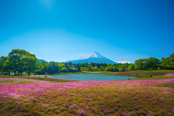 Lake Motosu