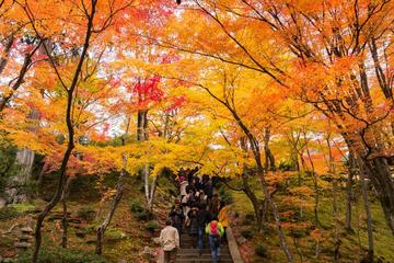 Jojakko-ji Temple