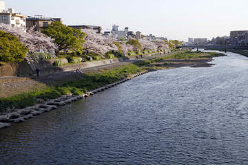 Kamogawa River