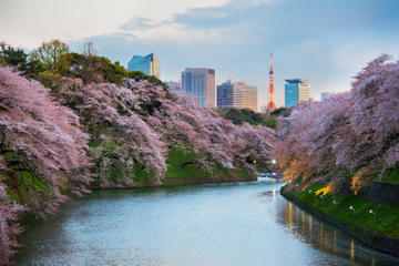 Kitanomaru Park