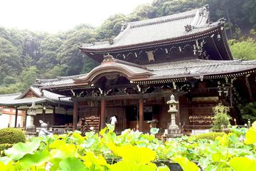 Mimuroto-ji Temple