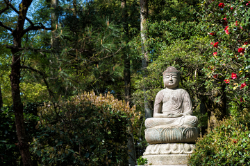 Myoshin-ji Temple