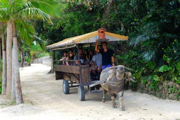 Taketomi Island