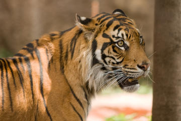 Tama Zoological Park