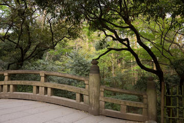 Yoyogi Park