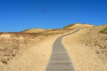 Curonian Spit & Kursiu Nerija National Park