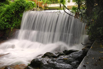 Penang Botanic Gardens