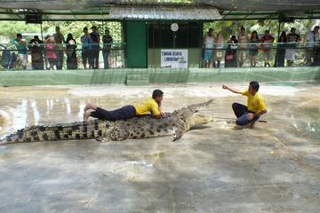 Langkawi Crocodile Farm