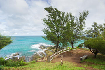 Tip of Borneo