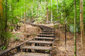 Taman Negara National Park