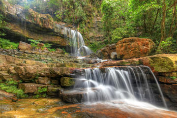 Endau-Rompin National Park