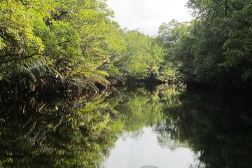 Cherating River