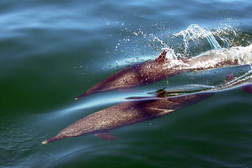 Quintana Roo