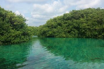 Casa Cenote