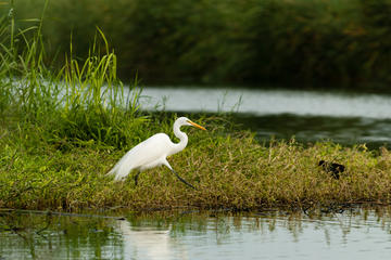 San Jose Estuary